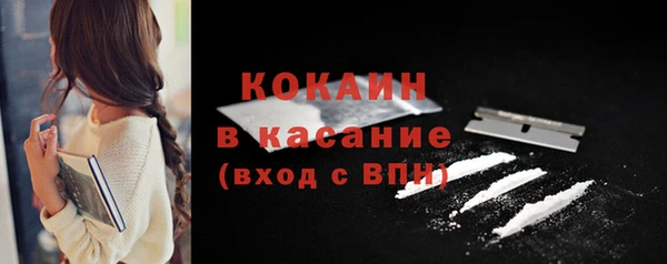 мдпв Каменногорск