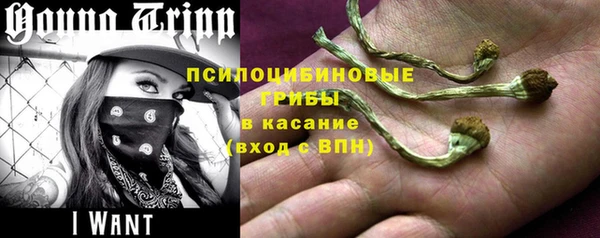 стафф Каменск-Шахтинский