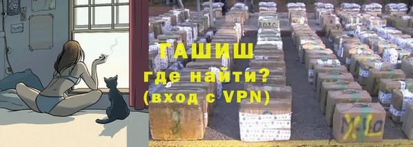 мдпв Каменногорск