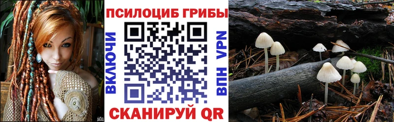 Галлюциногенные грибы GOLDEN TEACHER  Купить  Андреаполь 
