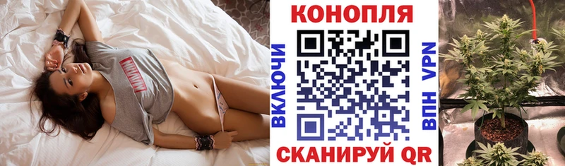 Конопля Ganja  Купить закладки  Андреаполь 